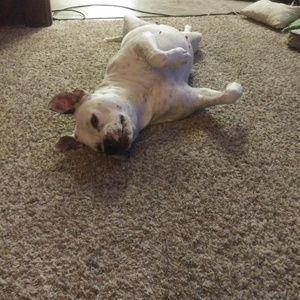 Meet your Posher, Joshua